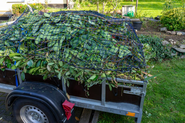 Best Carpet Removal and Disposal  in South Euclid, OH